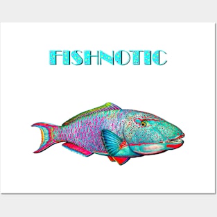 FISHNOTIC Posters and Art